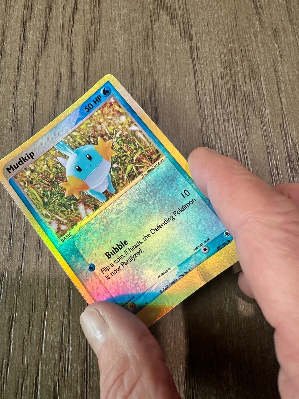 Mudkip  Pokémon Card - Halo - Picture 3 of 6